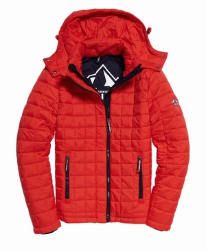 Superdry Box Quilt Fuji Hooded Férfi Kabát Piros | GNJMP4502